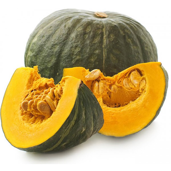 Zucca Mantova