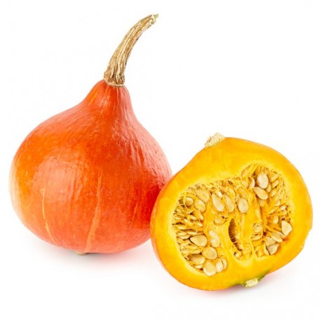 Zucca Hokkaido