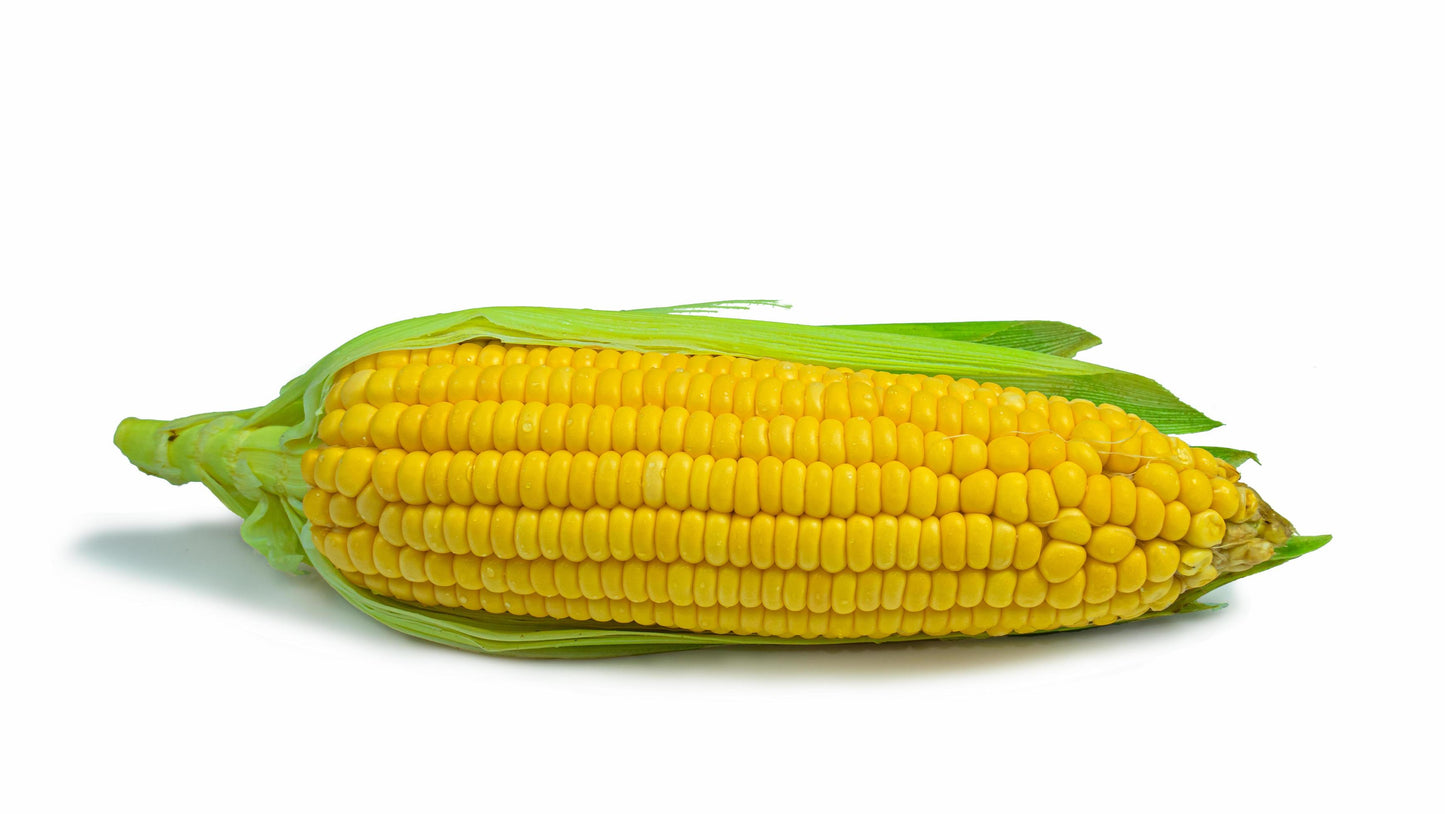Pannocchia di mais